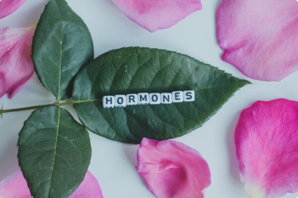 Menopause: Understanding Its Wider Effects on Women's Health