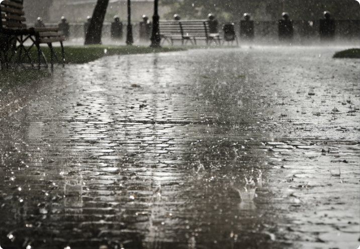 Dampness-Related Ailments: Health Risks During Humid and Rainy Seasons