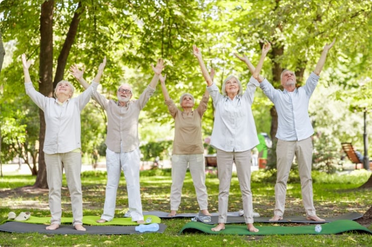 EnerQi Five Elements Technique: Reviving Organ Harmony and Restoring Inner Balance and Vitality